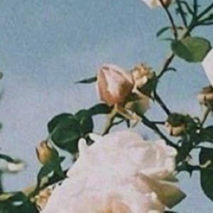 Meet your Posher, Fiona